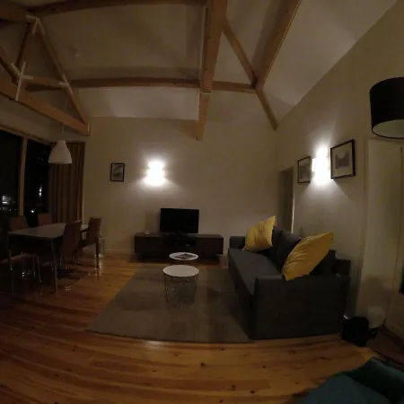 Amazing Penthouse In Historic Apartment Porto