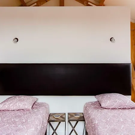 Amazing Penthouse In Historic Apartman